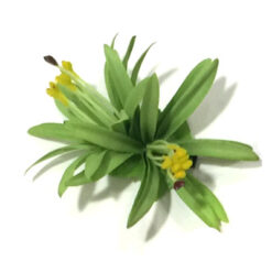 Double Spider Lily Hair Clip - # 02