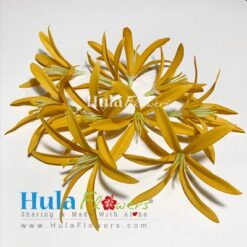 4" Silk Single Spider Lily (100 pcs) - #20