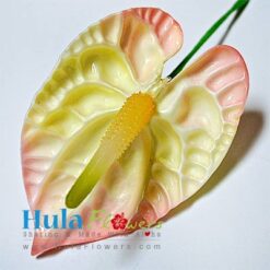 3.5" Foam Anthurium - # 14