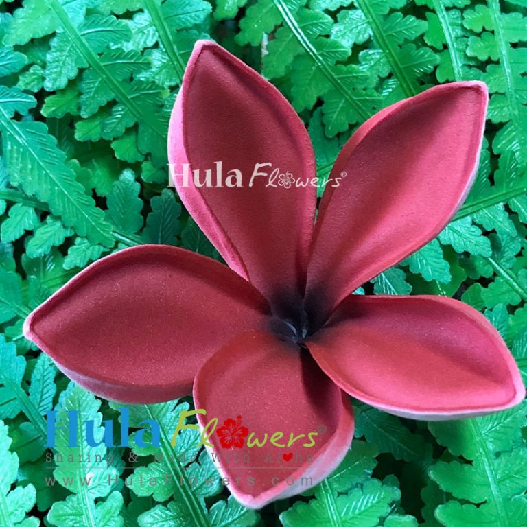 2.75" Foam Plumeria