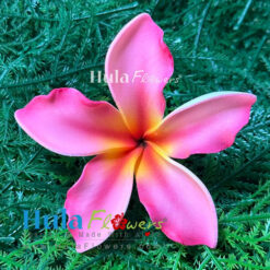 3.5" Foam Plumeria
