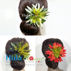 Hawaiian Yellow Lehua & Spider Lily Hair Clip