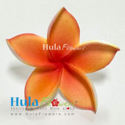 2.5” Foam plumeria