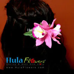 Hawaiian Cymbidium Orchid Hair Clip