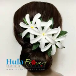 Tahitian Tiare Hair Clip