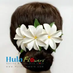 Tahitian Tiare Hair Clip