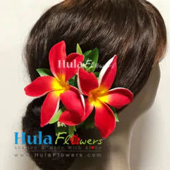 Hawaiian Plumeria Hair Clip - # 01