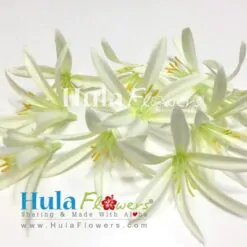 4" Silk Single Spider Lily (100 pcs) - #12