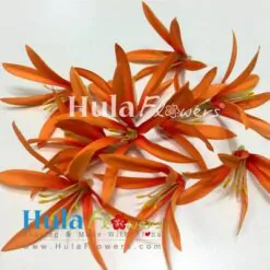 4" Silk Single Spider Lily (100 pcs) - #15