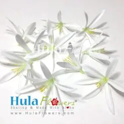 4" Silk Single Spider Lily (100 pcs)