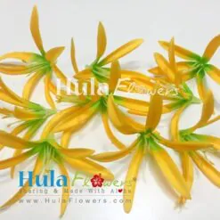 4" Silk Single Spider Lily (100 pcs) - #04