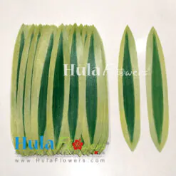 DIY Silk Song of India (Making Haku)