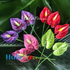 2.5" Foam Anthurium