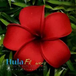 2.75" Foam Plumeria
