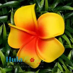 2.75" Foam Plumeria