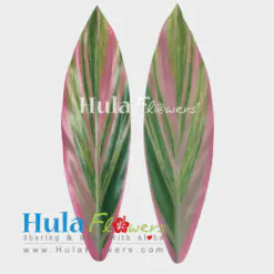 DIY Silk Ti Leaves 17 inches Full (Making Haku & Hip Hei)