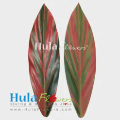 DIY Silk Ti Leaves 17 inches Full (Making Haku & Hip Hei)
