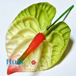 3.5" Foam Anthurium - # 13