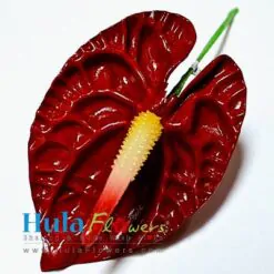 3.5" Foam Anthurium - # 03