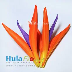 4" x 4.5" Foam Bird of Paradise
