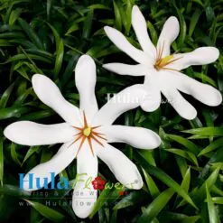 3.25" Foam Tiare