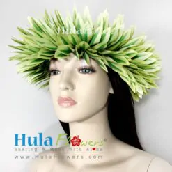 Silk song of India Haku 22" (L)