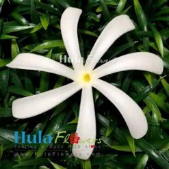 4" Foam Tiare (L)