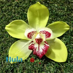 4” Silk Cymbidium orchid