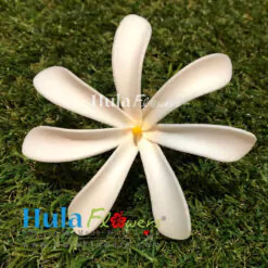 3.5" Foam Tiare (M)