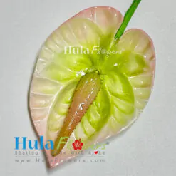 2.5" Foam Anthurium - # 07