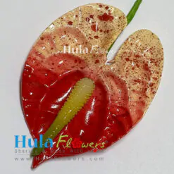 3.5" Foam Anthurium - # 17
