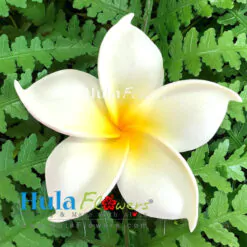 3.25" Foam Plumeria(M)