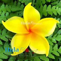 3.25" Foam Plumeria(M)