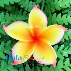 3.25" Foam Plumeria(M)