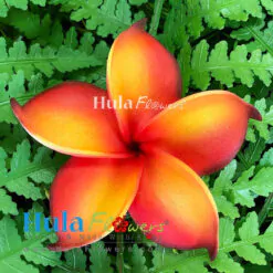 3.25" Foam Plumeria(M)