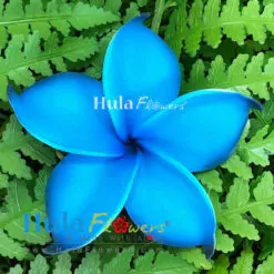3.25" Foam Plumeria(M)