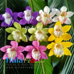 3" Foam Cymbidium Orchid