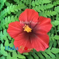 3.25" Foam Hibiscus (10pcs)
