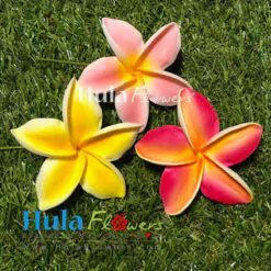 3" Foam Plumeria