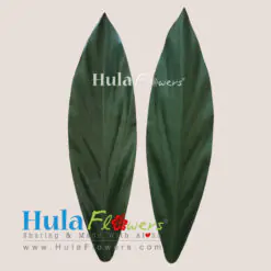 DIY Silk Ti Leaves 17 inches Full (Making Haku & Hip Hei)