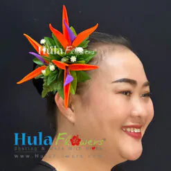 Bird of Paradise Hair Clip