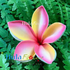 2.75" Foam Plumeria
