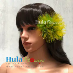 Yellow Lehua Hair Clip (L)