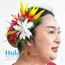 Tropical hair clip
