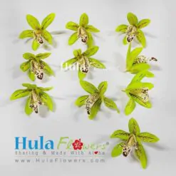 2.5" Silk  Orchid (100pcs)