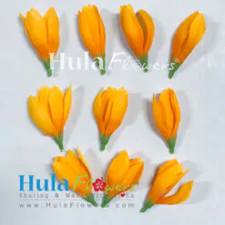 1 x 2.5 Silk Orange Champaca Loose (100pcs)