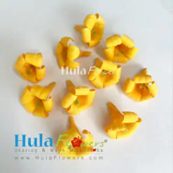 Silk Pua Kenikeni (100pcs)