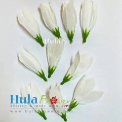 1 x 2.5 Silk Champaca Loose (100pcs)
