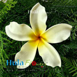 4.5" Foam Plumeria