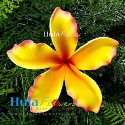 4.5" Foam Plumeria